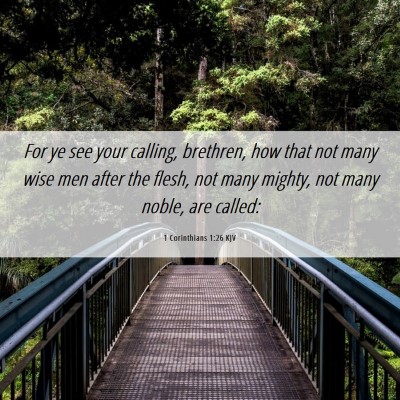 Picture 06 - 1 Corinthians 1:26 KJV - For ye see your calling, brethren, how that not - Bible Verse Picture