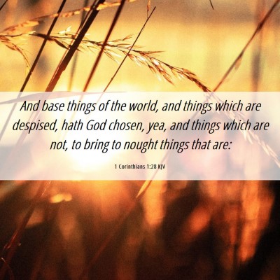 Picture 06 - 1 Corinthians 1:28 KJV - And base things of the world, and things which - Bible Verse Picture
