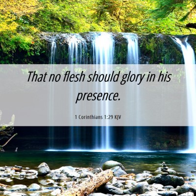 Picture 06 - 1 Corinthians 1:29 KJV - That no flesh should glory in his - Bible Verse Picture