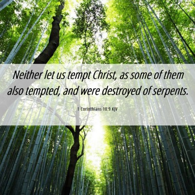 Picture 06 - 1 Corinthians 10:9 KJV - Neither let us tempt Christ, as some of them also - Bible Verse Picture