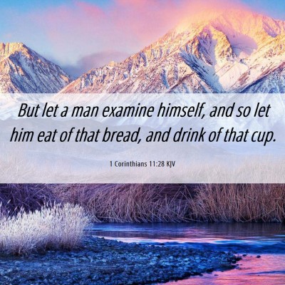 Picture 06 - 1 Corinthians 11:28 KJV - But let a man examine himself, and so let him eat - Bible Verse Picture