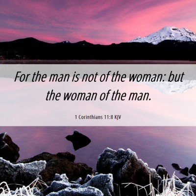 Picture 06 - 1 Corinthians 11:8 KJV - For the man is not of the woman: but the woman of - Bible Verse Picture