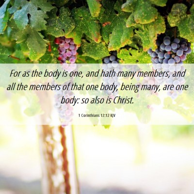Picture 06 - 1 Corinthians 12:12 KJV - For as the body is one, and hath many members, - Bible Verse Picture