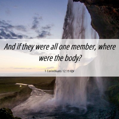 Picture 06 - 1 Corinthians 12:19 KJV - And if they were all one member, where were the - Bible Verse Picture