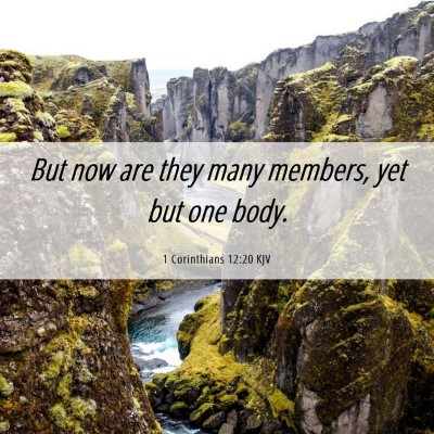 Picture 06 - 1 Corinthians 12:20 KJV - But now are they many members, yet but one - Bible Verse Picture