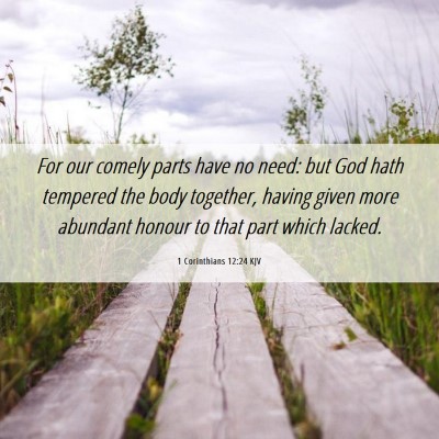 Picture 06 - 1 Corinthians 12:24 KJV - For our comely parts have no need: but God hath - Bible Verse Picture