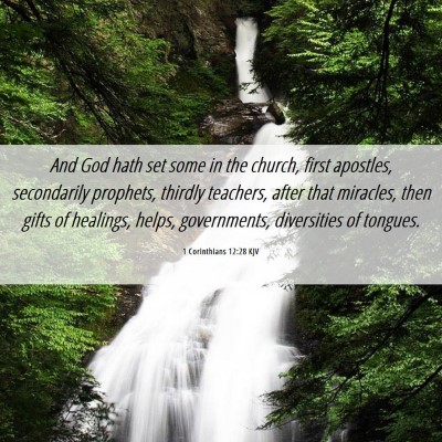 Picture 06 - 1 Corinthians 12:28 KJV - And God hath set some in the church, first - Bible Verse Picture