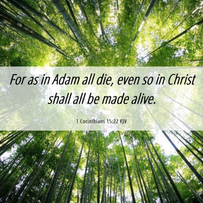 Picture 06 - 1 Corinthians 15:22 KJV - For as in Adam all die, even so in Christ shall - Bible Verse Picture