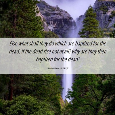 Picture 06 - 1 Corinthians 15:29 KJV - Else what shall they do which are baptized for - Bible Verse Picture