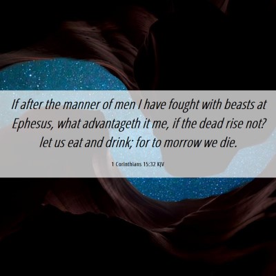Picture 06 - 1 Corinthians 15:32 KJV - If after the manner of men I have fought with - Bible Verse Picture