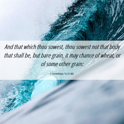 Picture 06 - 1 Corinthians 15:37 KJV - And that which thou sowest, thou sowest not that - Bible Verse Picture