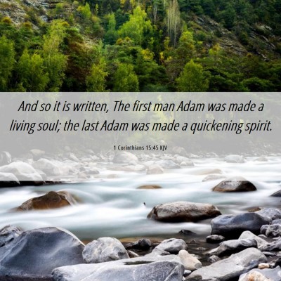 Picture 06 - 1 Corinthians 15:45 KJV - And so it is written, The first man Adam was made - Bible Verse Picture