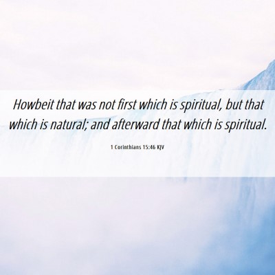 Picture 06 - 1 Corinthians 15:46 KJV - Howbeit that was not first which is spiritual, - Bible Verse Picture