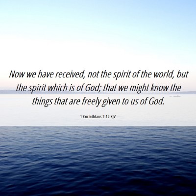 Picture 06 - 1 Corinthians 2:12 KJV - Now we have received, not the spirit of the - Bible Verse Picture