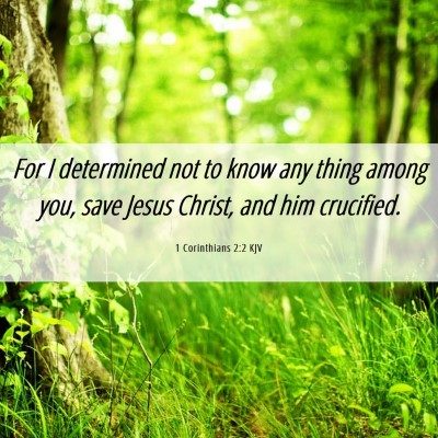 Picture 06 - 1 Corinthians 2:2 KJV - For I determined not to know any thing among you, - Bible Verse Picture