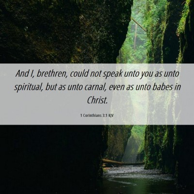 Picture 06 - 1 Corinthians 3:1 KJV - And I, brethren, could not speak unto you as unto - Bible Verse Picture