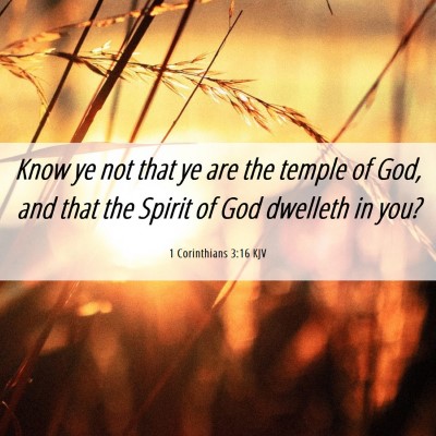 Picture 06 - 1 Corinthians 3:16 KJV - Know ye not that ye are the temple of God, and - Bible Verse Picture
