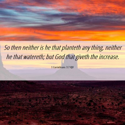 Picture 06 - 1 Corinthians 3:7 KJV - So then neither is he that planteth any thing, - Bible Verse Picture