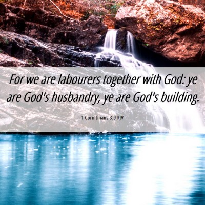 Picture 06 - 1 Corinthians 3:9 KJV - For we are labourers together with God: ye are - Bible Verse Picture