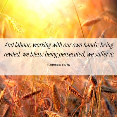Picture 06 - 1 Corinthians 4:12 KJV - And labour, working with our own hands: being - Bible Verse Picture