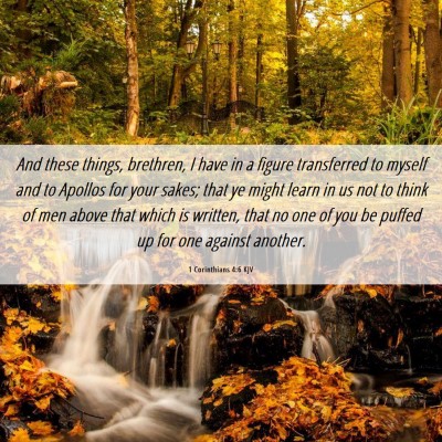 Picture 06 - 1 Corinthians 4:6 KJV - And these things, brethren, I have in a figure - Bible Verse Picture