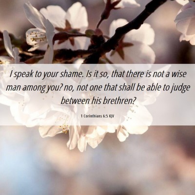 Picture 06 - 1 Corinthians 6:5 KJV - I speak to your shame. Is it so, that there is - Bible Verse Picture