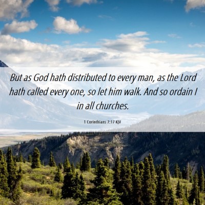 Picture 06 - 1 Corinthians 7:17 KJV - But as God hath distributed to every man, as the - Bible Verse Picture