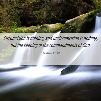 Picture 06 - 1 Corinthians 7:19 KJV - Circumcision is nothing, and uncircumcision is - Bible Verse Picture