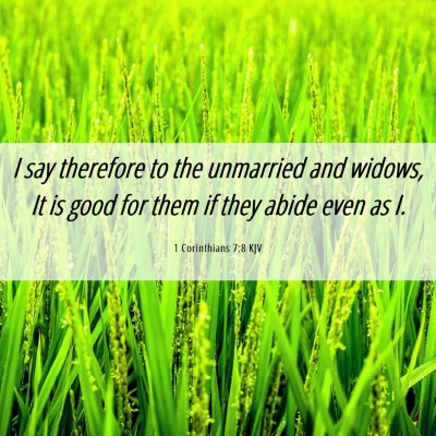Picture 06 - 1 Corinthians 7:8 KJV - I say therefore to the unmarried and widows, It - Bible Verse Picture