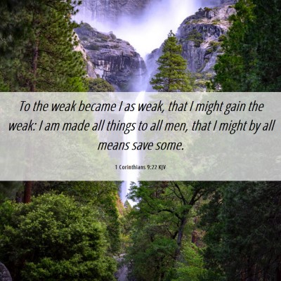 Picture 06 - 1 Corinthians 9:22 KJV - To the weak became I as weak, that I might gain - Bible Verse Picture