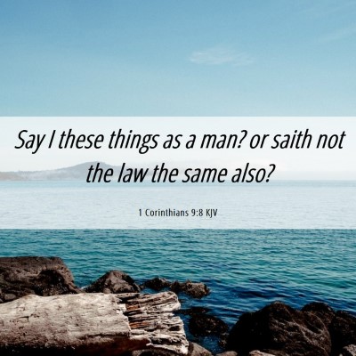 Picture 06 - 1 Corinthians 9:8 KJV - Say I these things as a man? or saith not the law - Bible Verse Picture