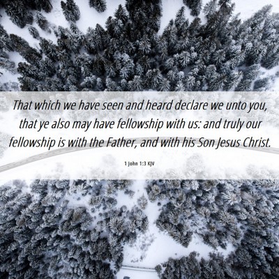 Picture 06 - 1 John 1:3 KJV - That which we have seen and heard declare we unto - Bible Verse Picture