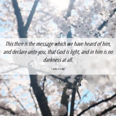 Picture 06 - 1 John 1:5 KJV - This then is the message which we have heard of - Bible Verse Picture