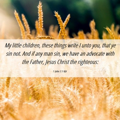 Picture 06 - 1 John 2:1 KJV - My little children, these things write I unto - Bible Verse Picture