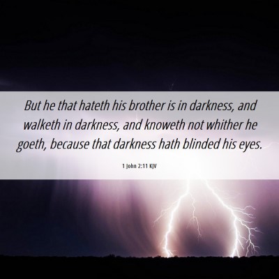 Picture 06 - 1 John 2:11 KJV - But he that hateth his brother is in darkness, - Bible Verse Picture