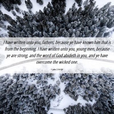 Picture 06 - 1 John 2:14 KJV - I have written unto you, fathers, because ye have - Bible Verse Picture