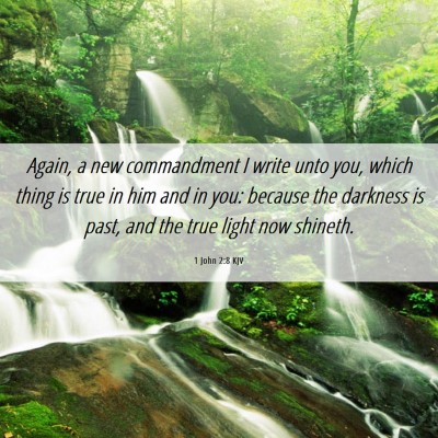 Picture 06 - 1 John 2:8 KJV - Again, a new commandment I write unto you, which - Bible Verse Picture