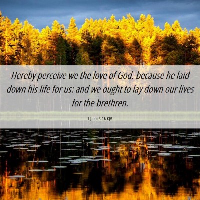 Picture 06 - 1 John 3:16 KJV - Hereby perceive we the love of God, because he - Bible Verse Picture