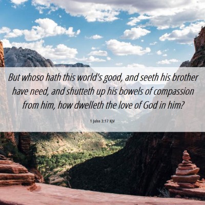 Picture 06 - 1 John 3:17 KJV - But whoso hath this world's good, and seeth his - Bible Verse Picture