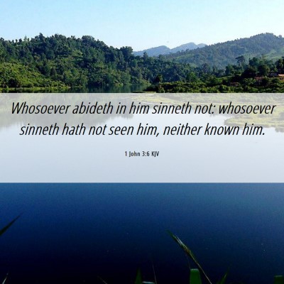 Picture 06 - 1 John 3:6 KJV - Whosoever abideth in him sinneth not: whosoever - Bible Verse Picture
