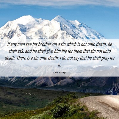 Picture 06 - 1 John 5:16 KJV - If any man see his brother sin a sin which is not - Bible Verse Picture