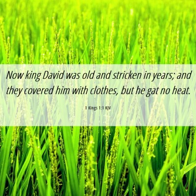 Picture 06 - 1 Kings 1:1 KJV - Now king David was old and stricken in years; and - Bible Verse Picture