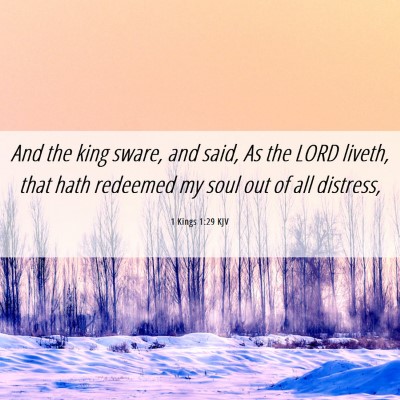 Picture 06 - 1 Kings 1:29 KJV - And the king sware, and said, As the LORD liveth, - Bible Verse Picture