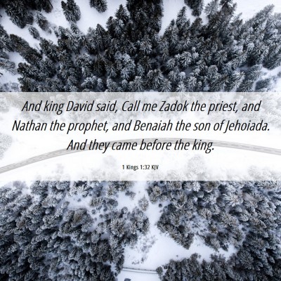 Picture 06 - 1 Kings 1:32 KJV - And king David said, Call me Zadok the priest, - Bible Verse Picture
