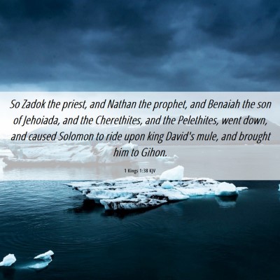 Picture 06 - 1 Kings 1:38 KJV - So Zadok the priest, and Nathan the prophet, and - Bible Verse Picture