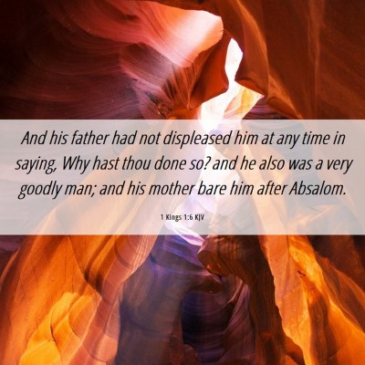 Picture 06 - 1 Kings 1:6 KJV - And his father had not displeased him at any time - Bible Verse Picture