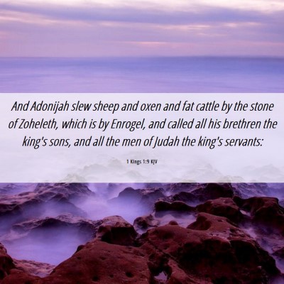 Picture 06 - 1 Kings 1:9 KJV - And Adonijah slew sheep and oxen and fat cattle - Bible Verse Picture