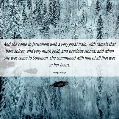 Picture 06 - 1 Kings 10:2 KJV - And she came to Jerusalem with a very great - Bible Verse Picture