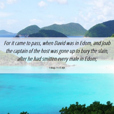 Picture 06 - 1 Kings 11:15 KJV - For it came to pass, when David was in Edom, and - Bible Verse Picture
