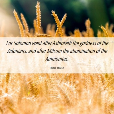 Picture 06 - 1 Kings 11:5 KJV - For Solomon went after Ashtoreth the goddess of - Bible Verse Picture